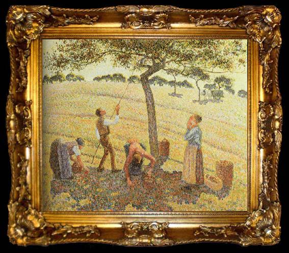 framed  Camille Pissarro Pick  Apples, ta009-2